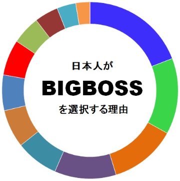 BigBoss（ビッグボス）を選択するメリットと評判